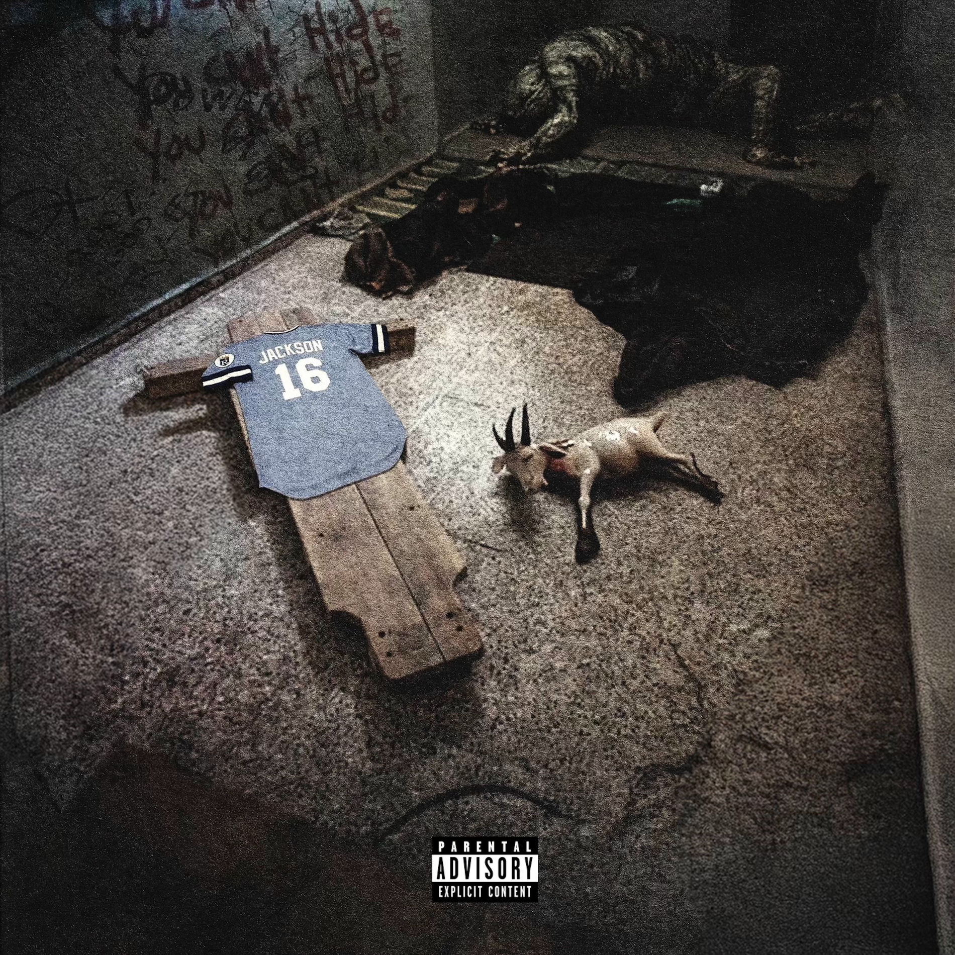 Album cover of You Can’t Hide
