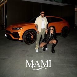 music cover