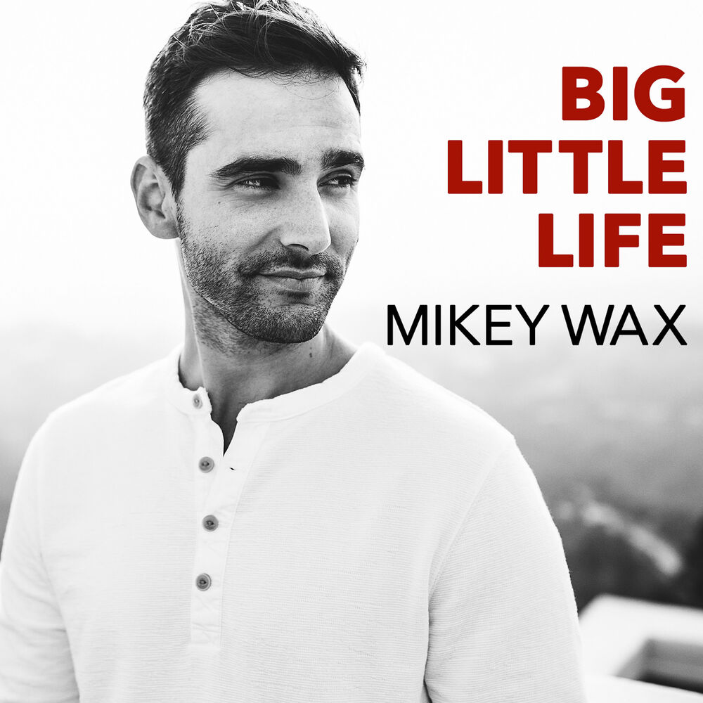 Picture of Big Little Life