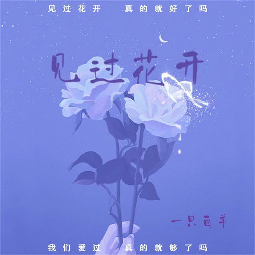 见过花开 (DJAh版)