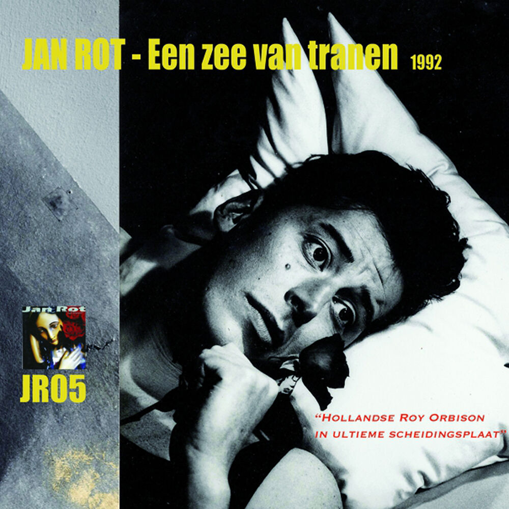 Picture of Een Zee van Tranen