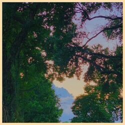 Cover of Runnin'