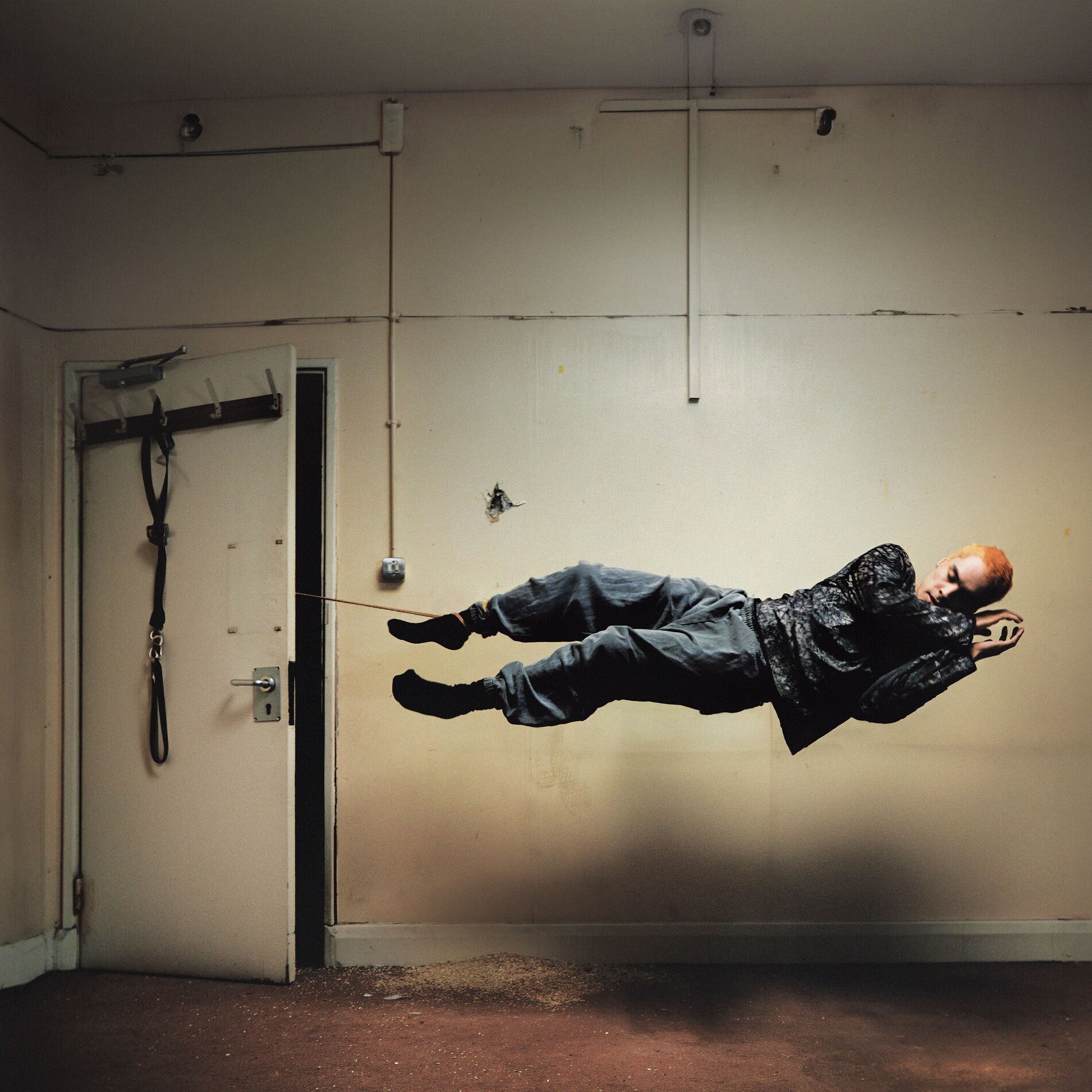 Album cover of True