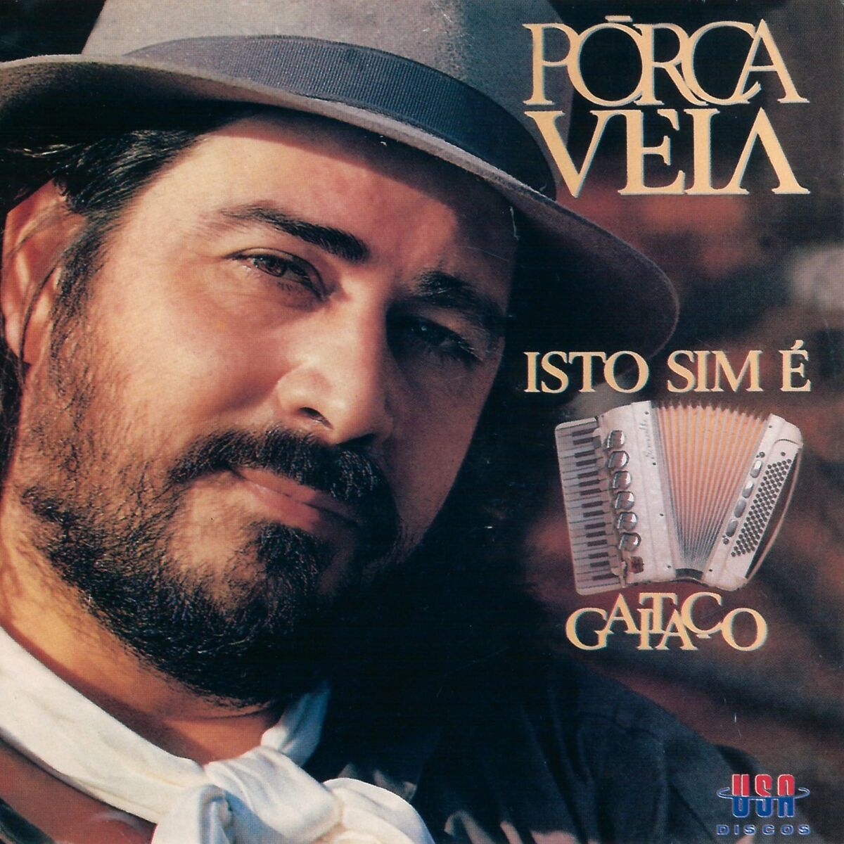 Album cover of ISTO SIM É GAITAÇO