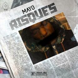 Cover of Risques