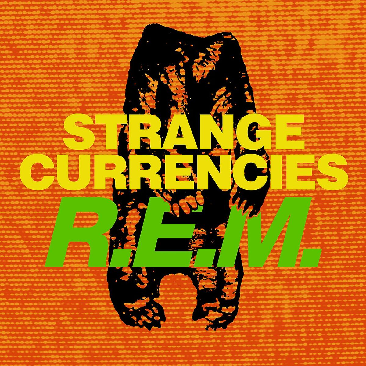 Album picture of Strange Currencies