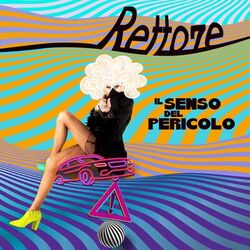 Cover of Il senso del pericolo
