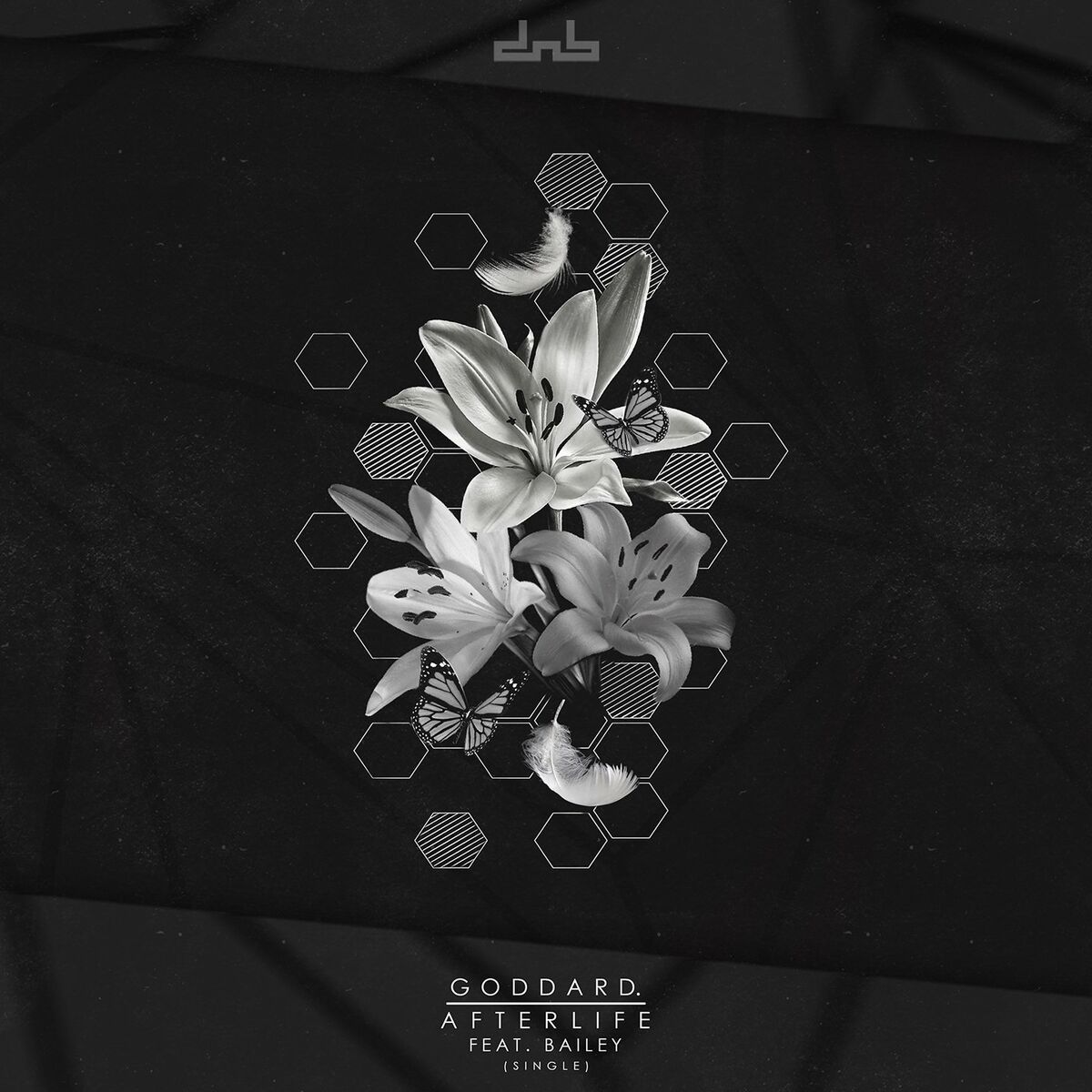 Album cover of Afterlife (feat. Bailey)
