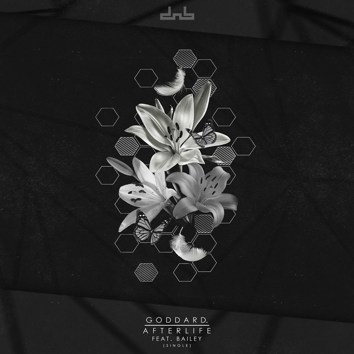 Album picture of Afterlife (feat. Bailey)