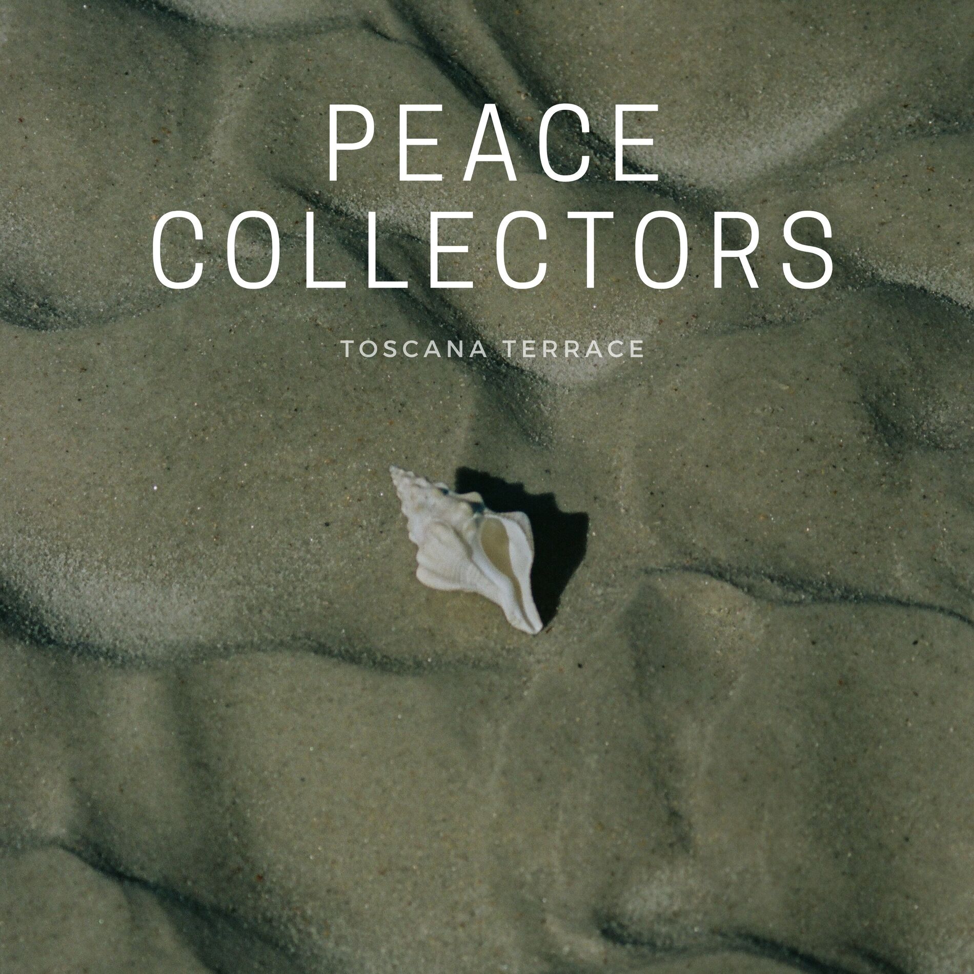 Album cover of Toscana Terrace