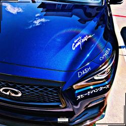 Cover of Dash