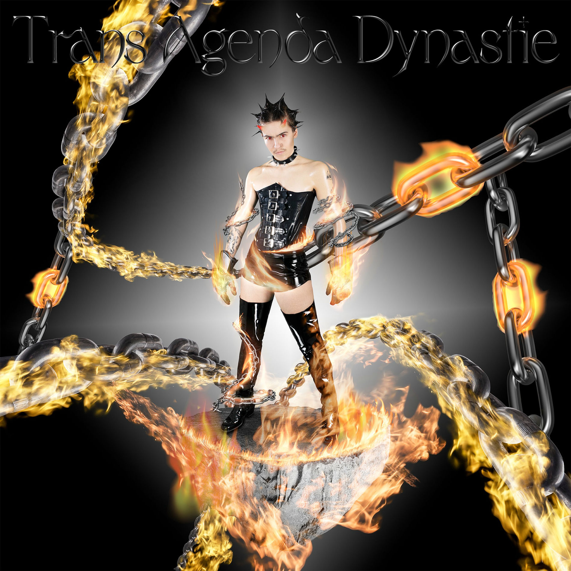 Album cover of Trans Agenda Dynastie