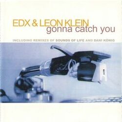 Cover of Gonna Catch You
