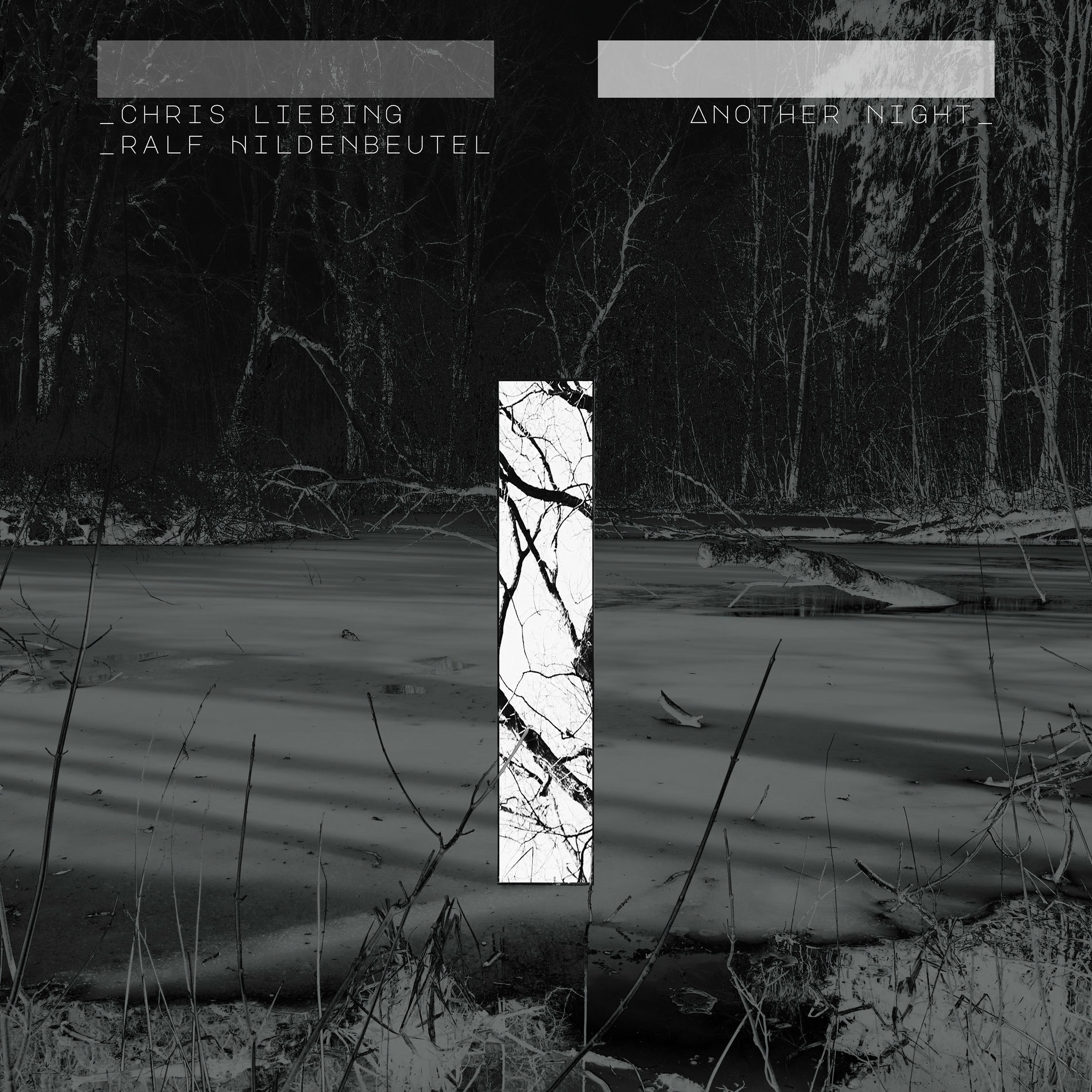 Album cover of Another Day