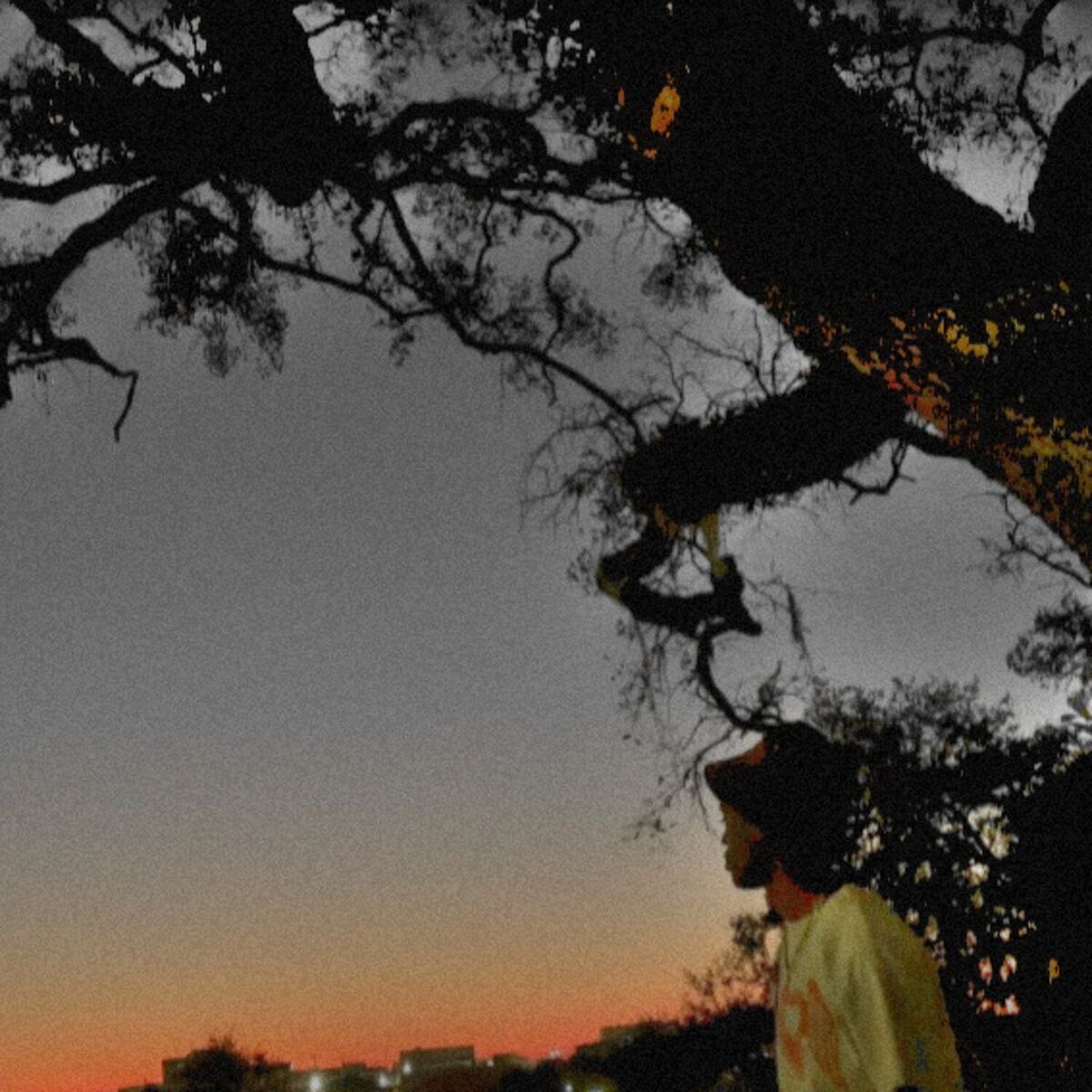 Album cover of Mamacita