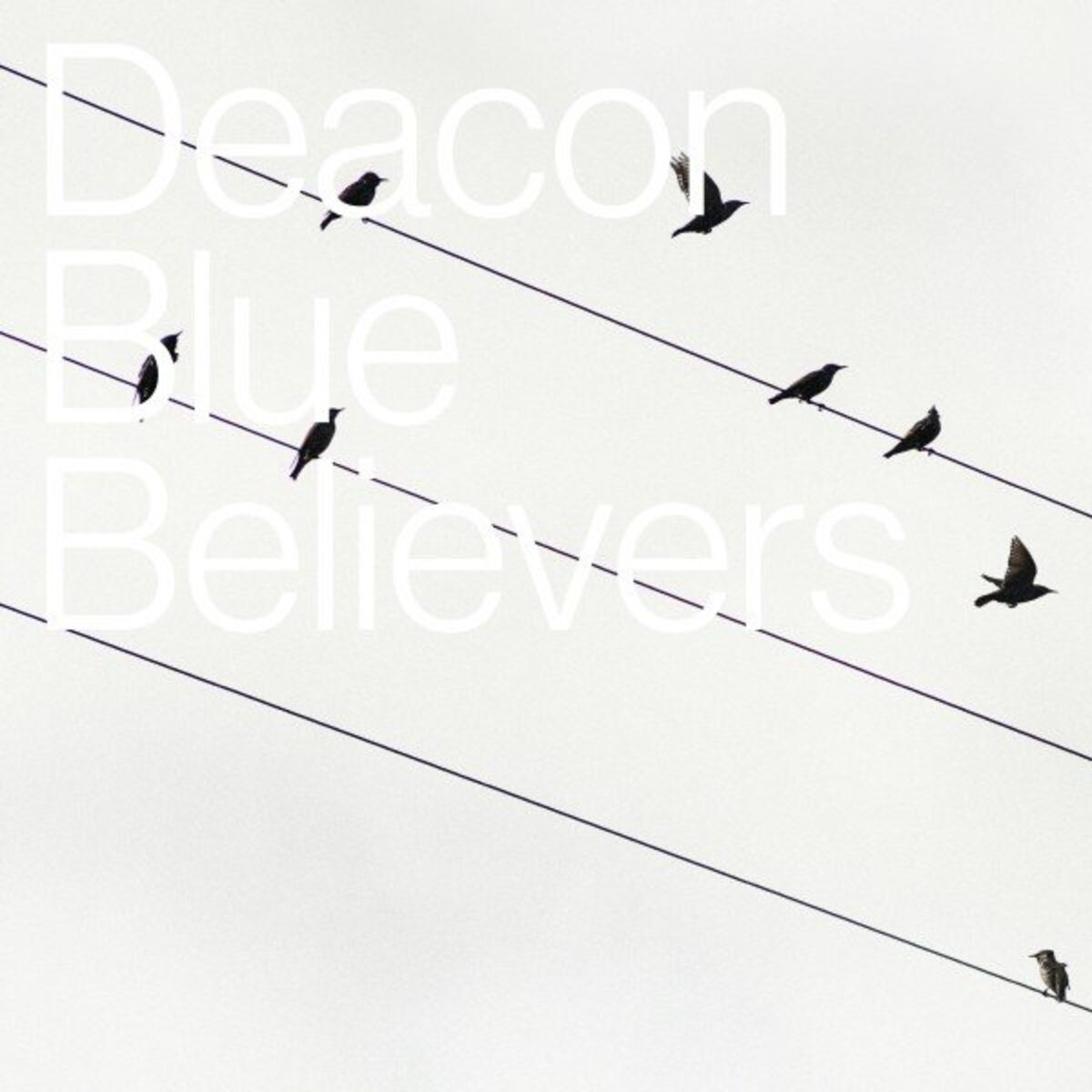 Album cover of Believers