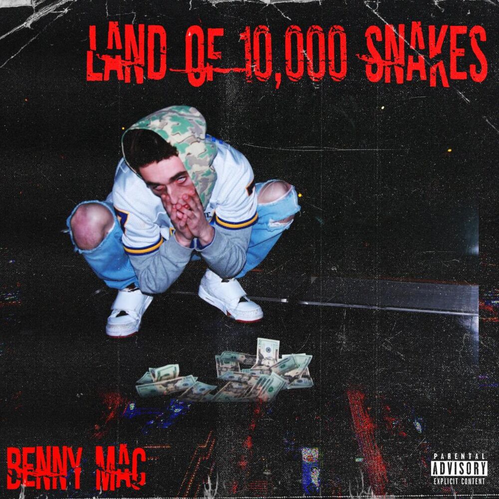 Picture of Land of 10,000 Snakes