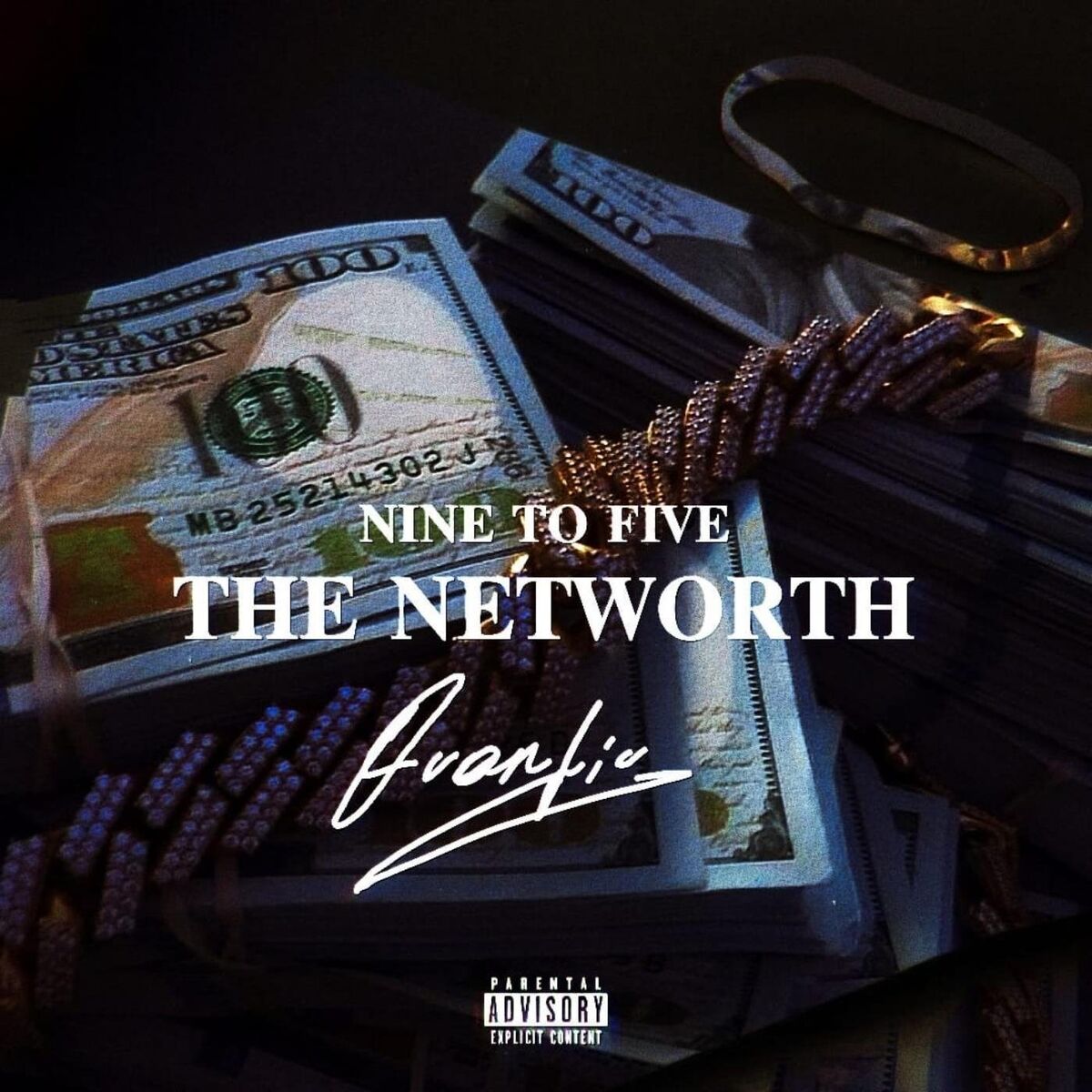 Album cover of 925 the Net Worth