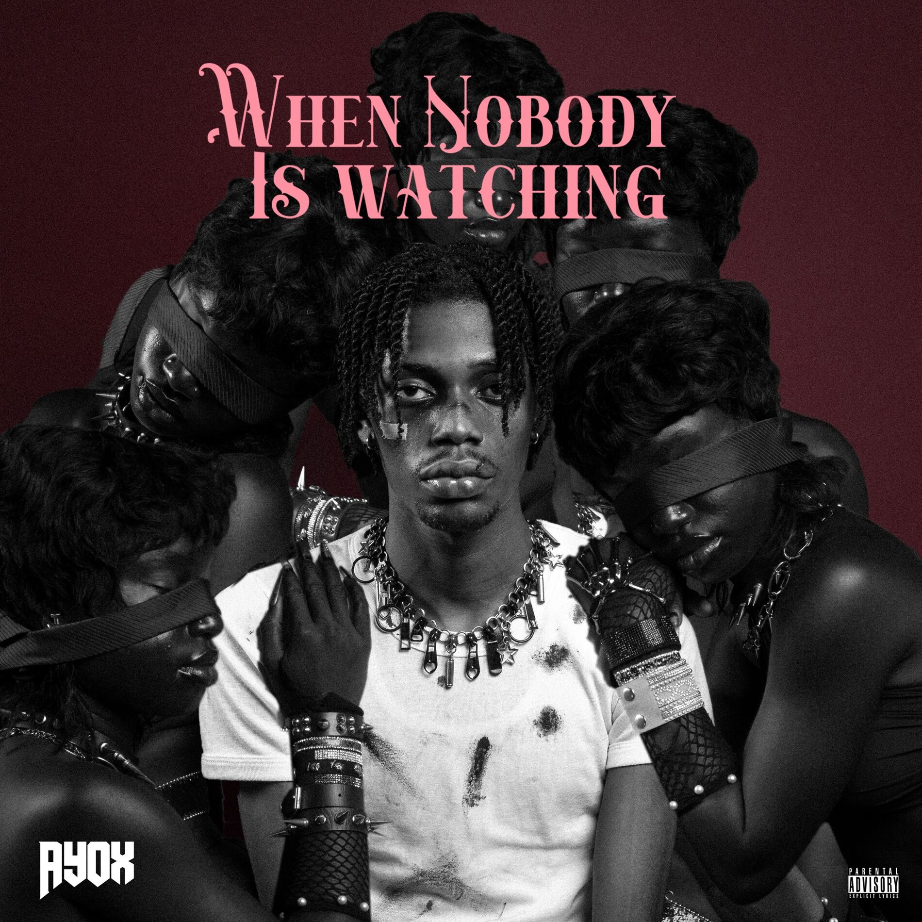 Album cover of WHEN NOBODY IS WATCHING