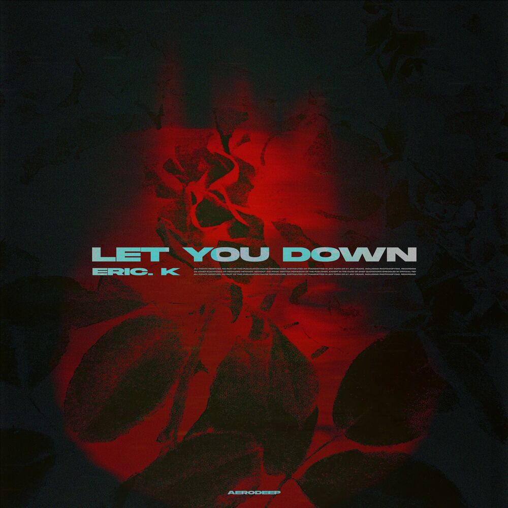Picture of Let You Down