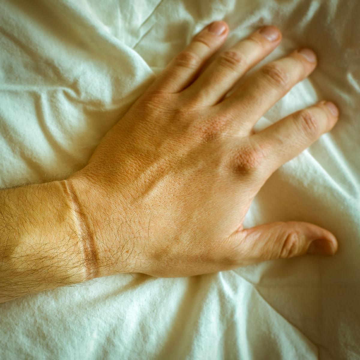 Album picture of Elàstic