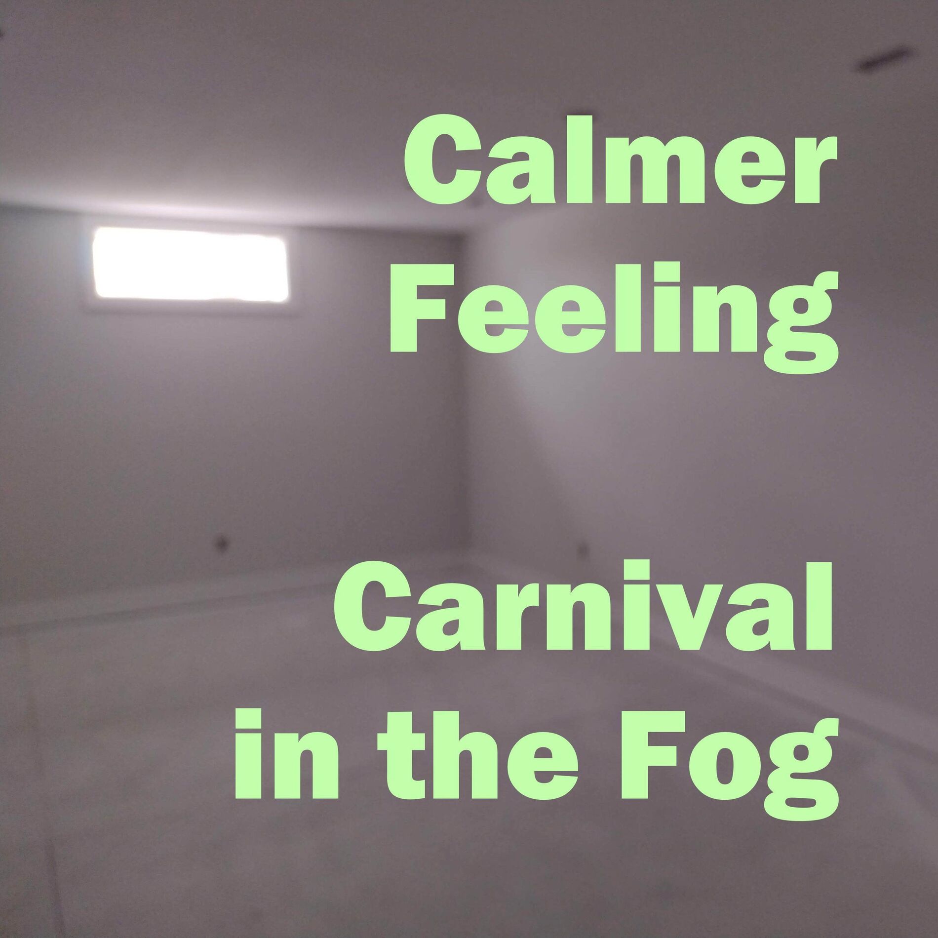 Album cover of Carnival in the Fog