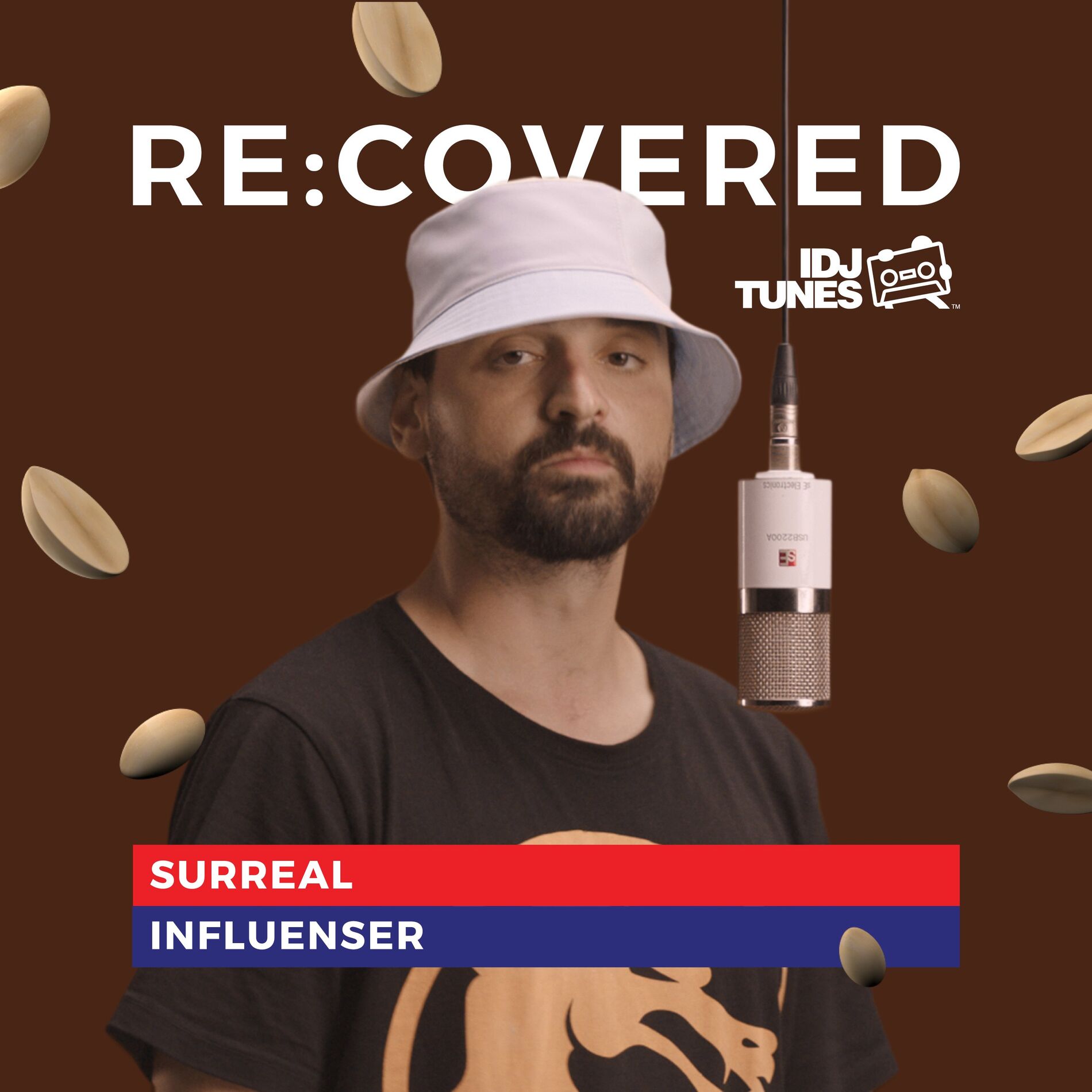 Album cover of Influencer