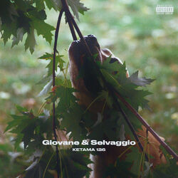Cover of Giovane e Selvaggio