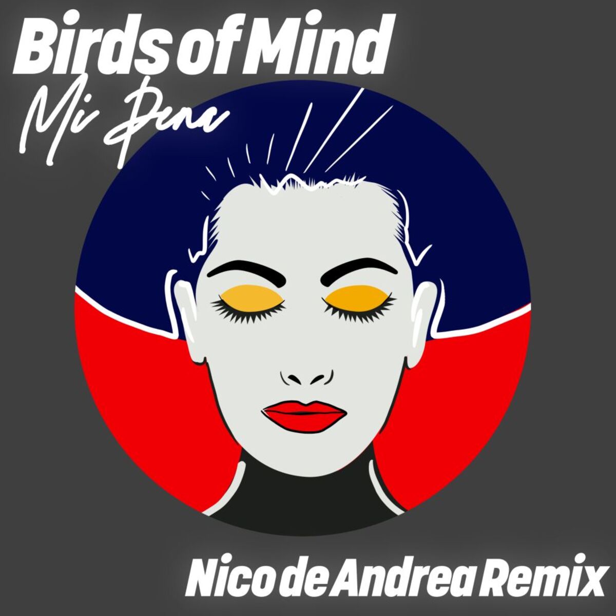 Album cover of Mi Pena (Nico de Andrea Remix)