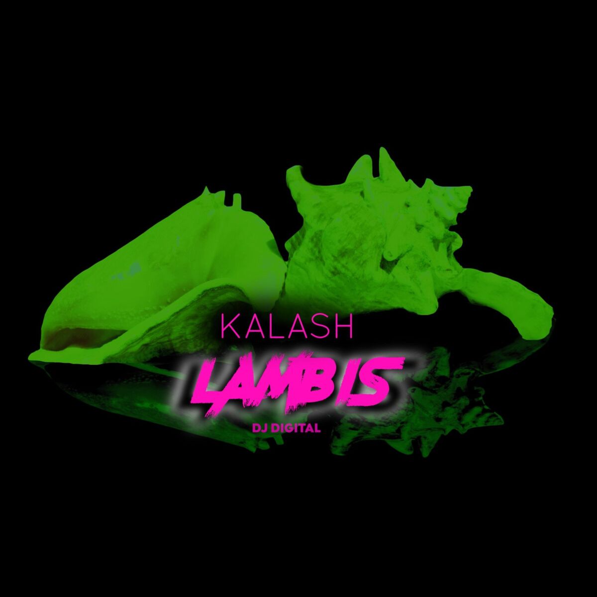 Album cover of Lambis