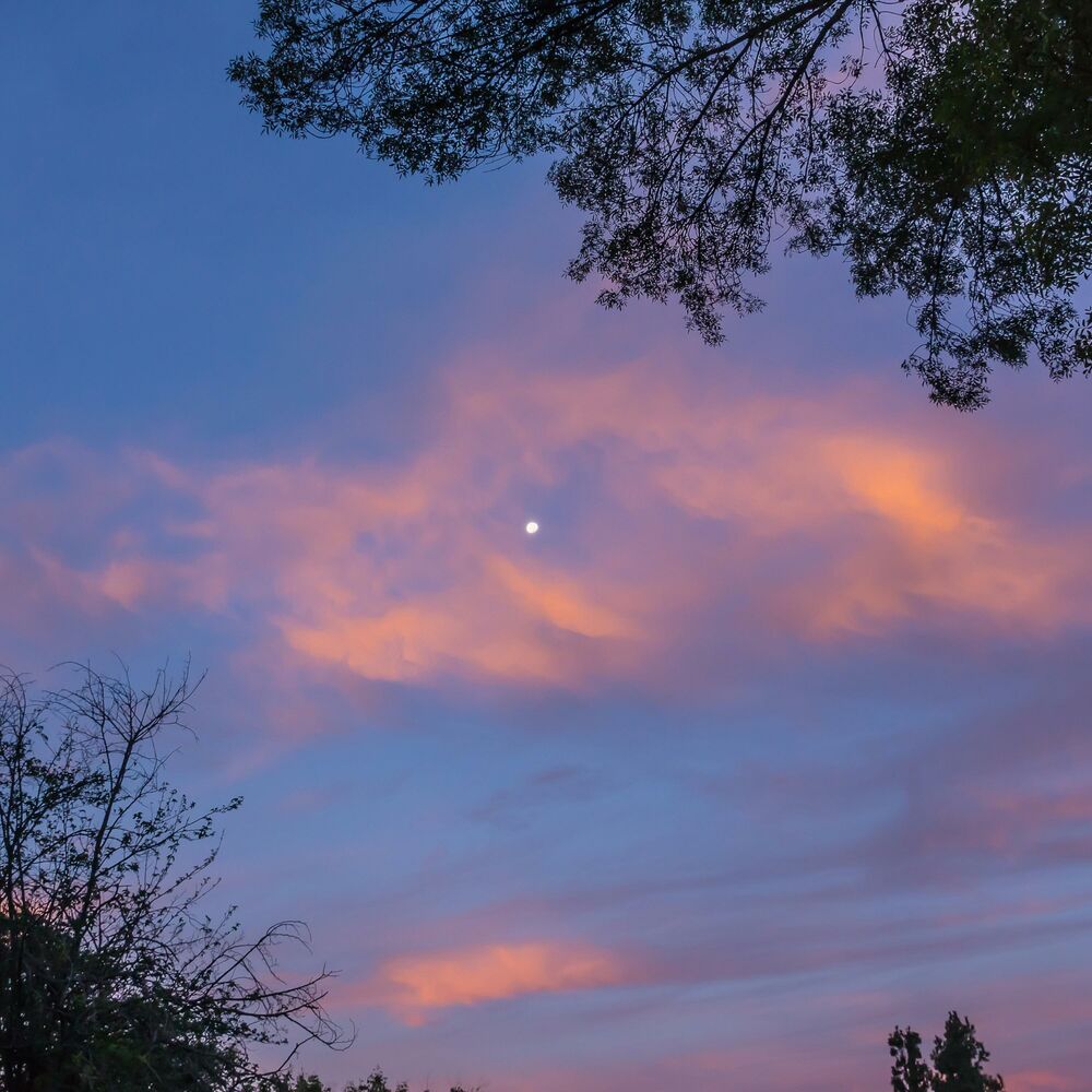 Picture of The Light