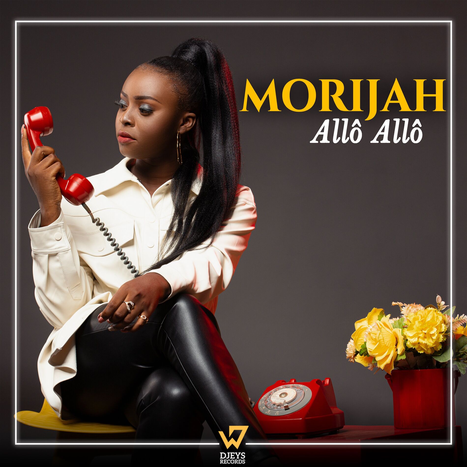 Album cover of Allô Allô