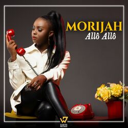 Cover of Allô Allô