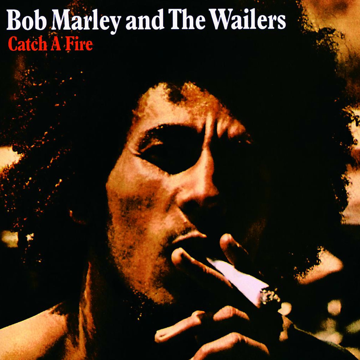 BOB MARLEY＆THE WAILERS/Catch A Fire Bob Marley: Catch A Fire - The Real Story Behind The Album