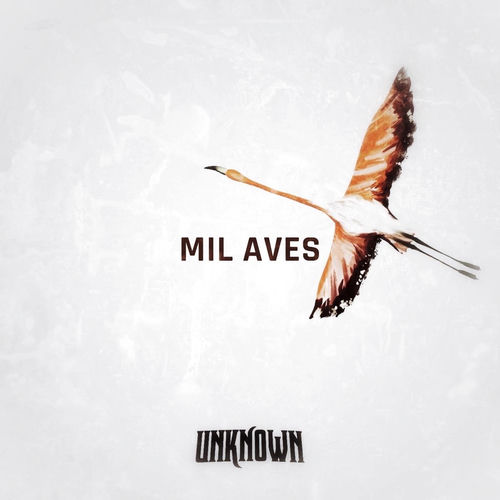 Mil Aves
