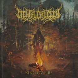 Cover of King Ov Fire