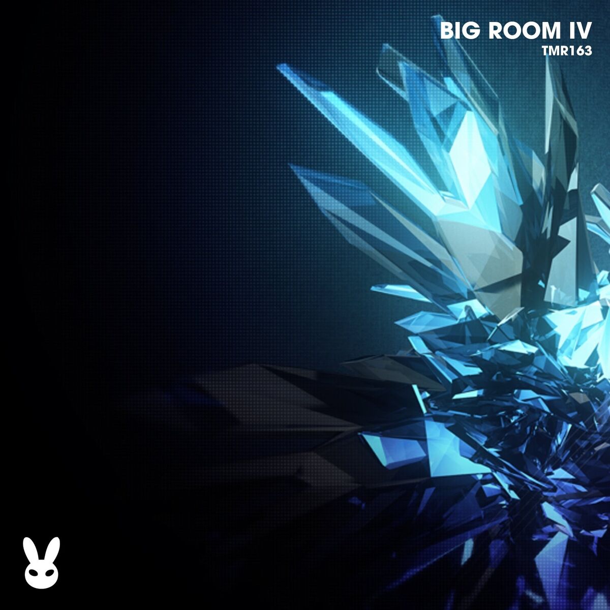 Album cover of Big Room IV