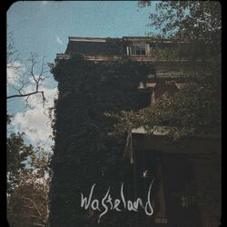 Cover of Wasteland