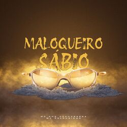 Cover of Maloqueiro Sábio