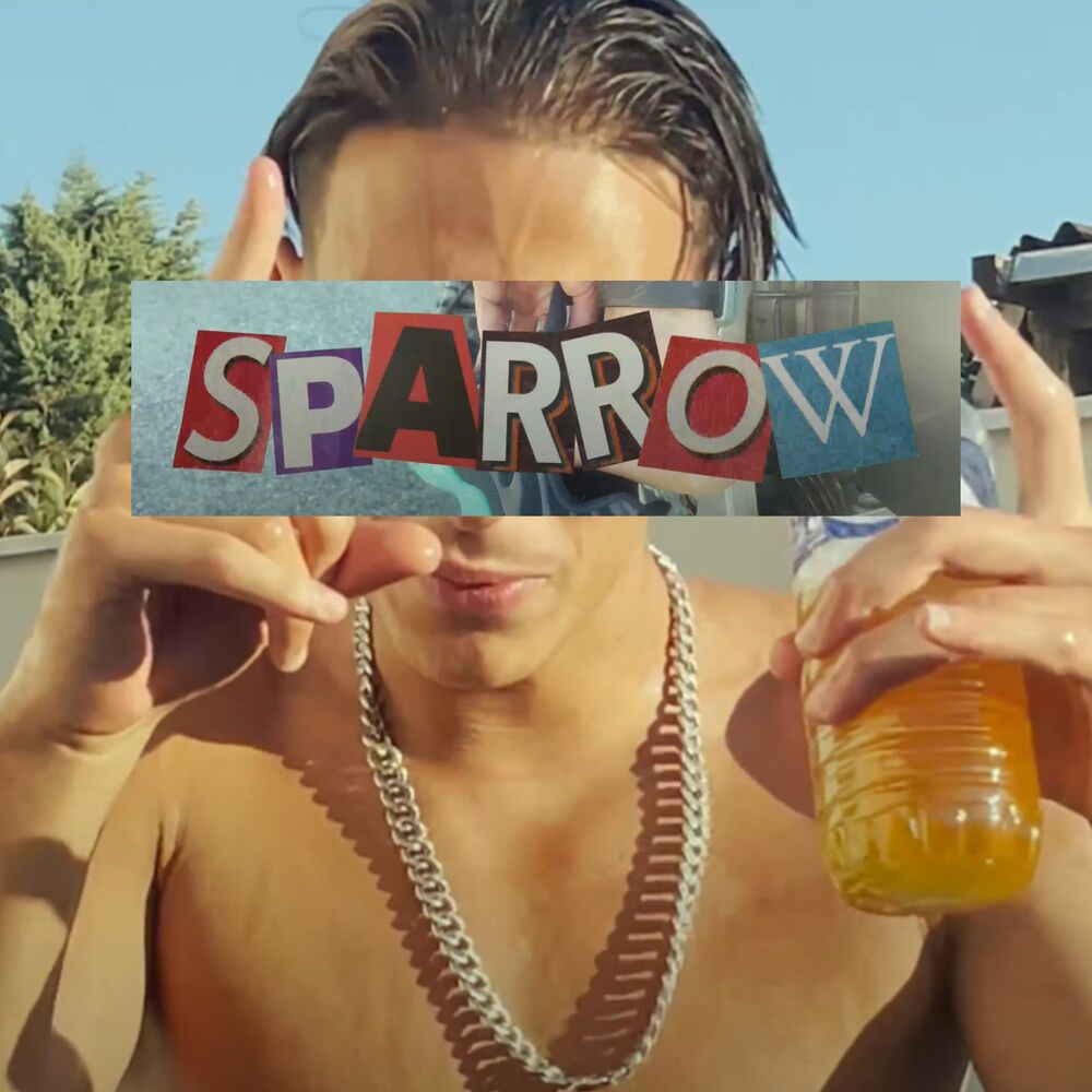 Picture of SPARROW