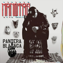 Cover of Pantera Blanca