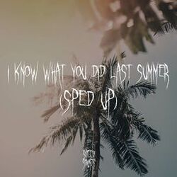 Cover of I Know What You Did Last Summer (Sped Up)