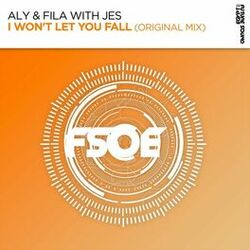 Cover of I Won't Let You Fall