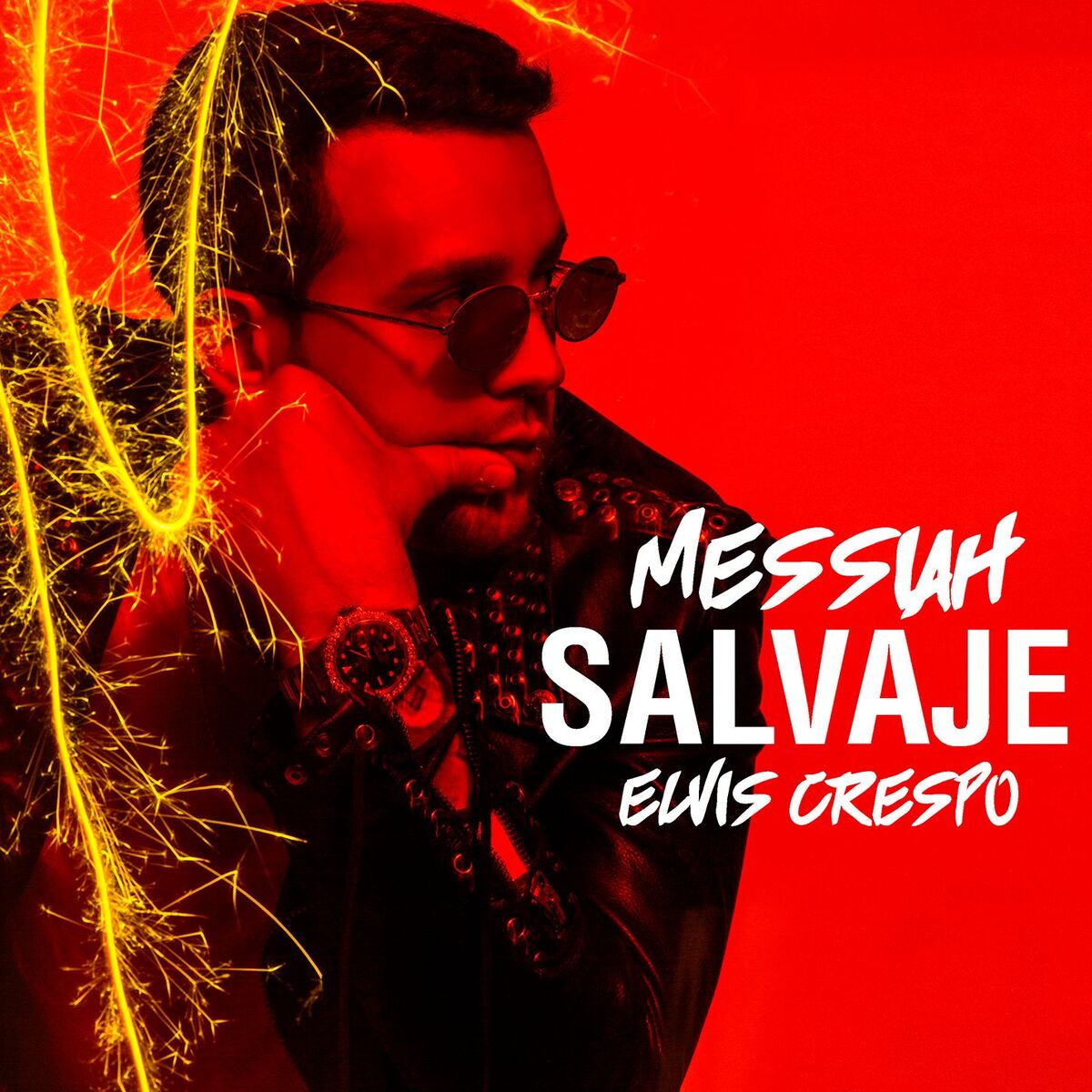 Album picture of Salvaje