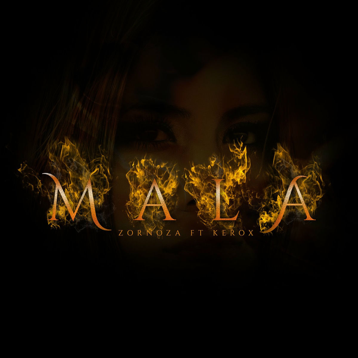 Album cover of Mala