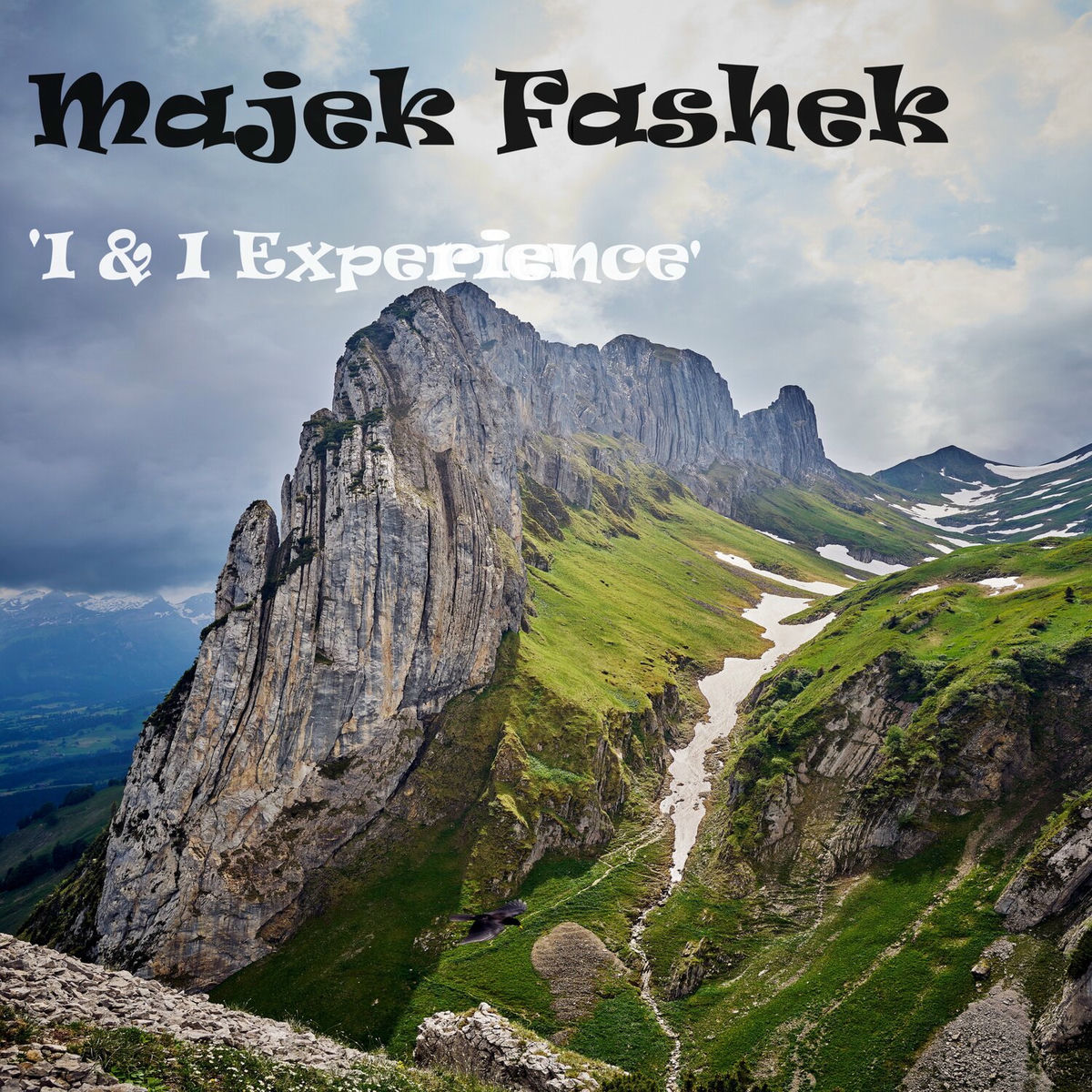 Album cover of I & I Experience