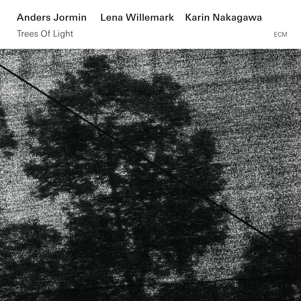 Picture of Trees Of Light
