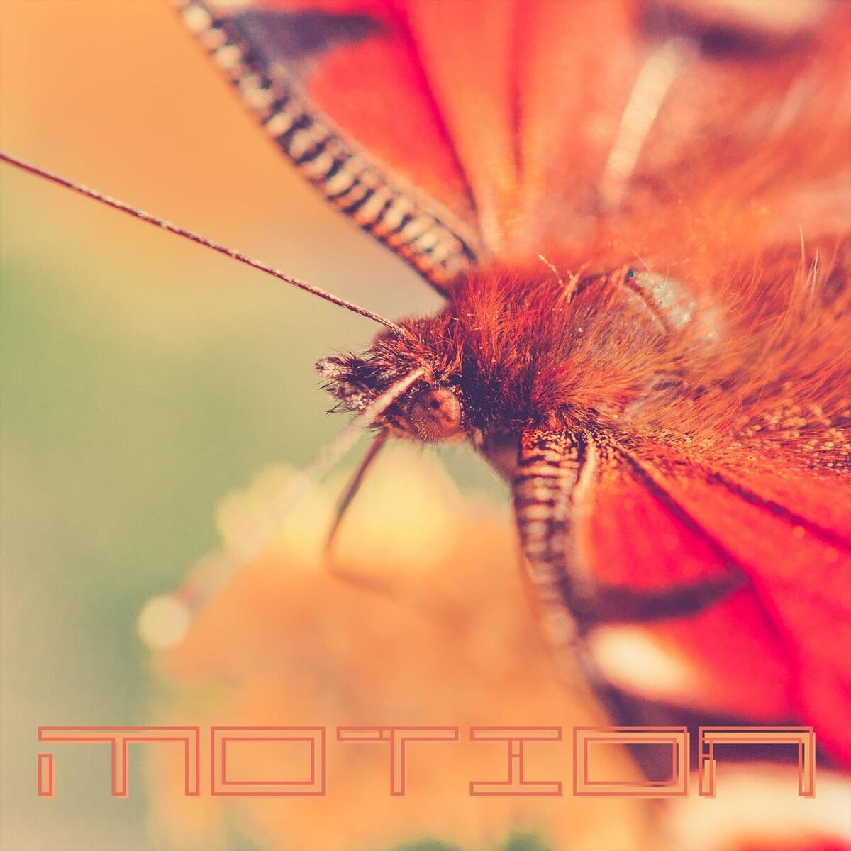 Album cover of Motion