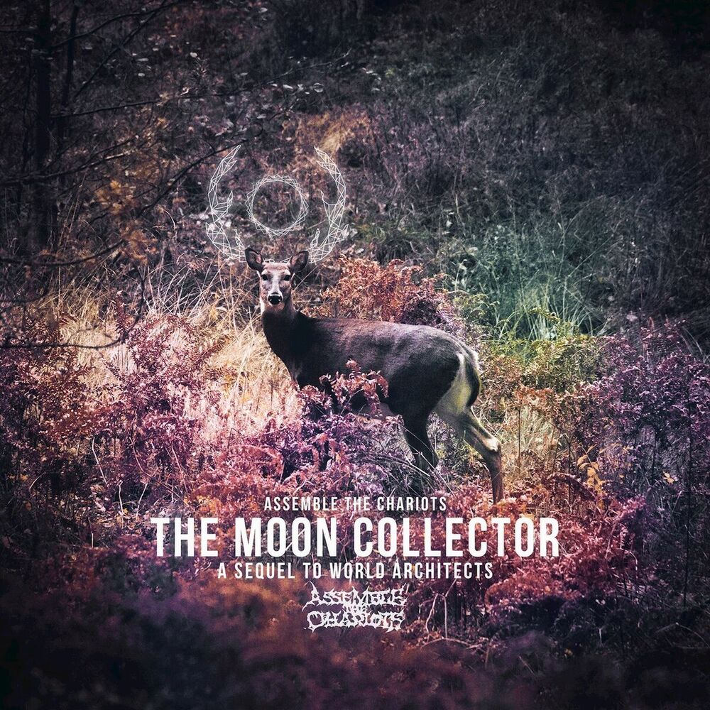 Picture of The Moon Collector