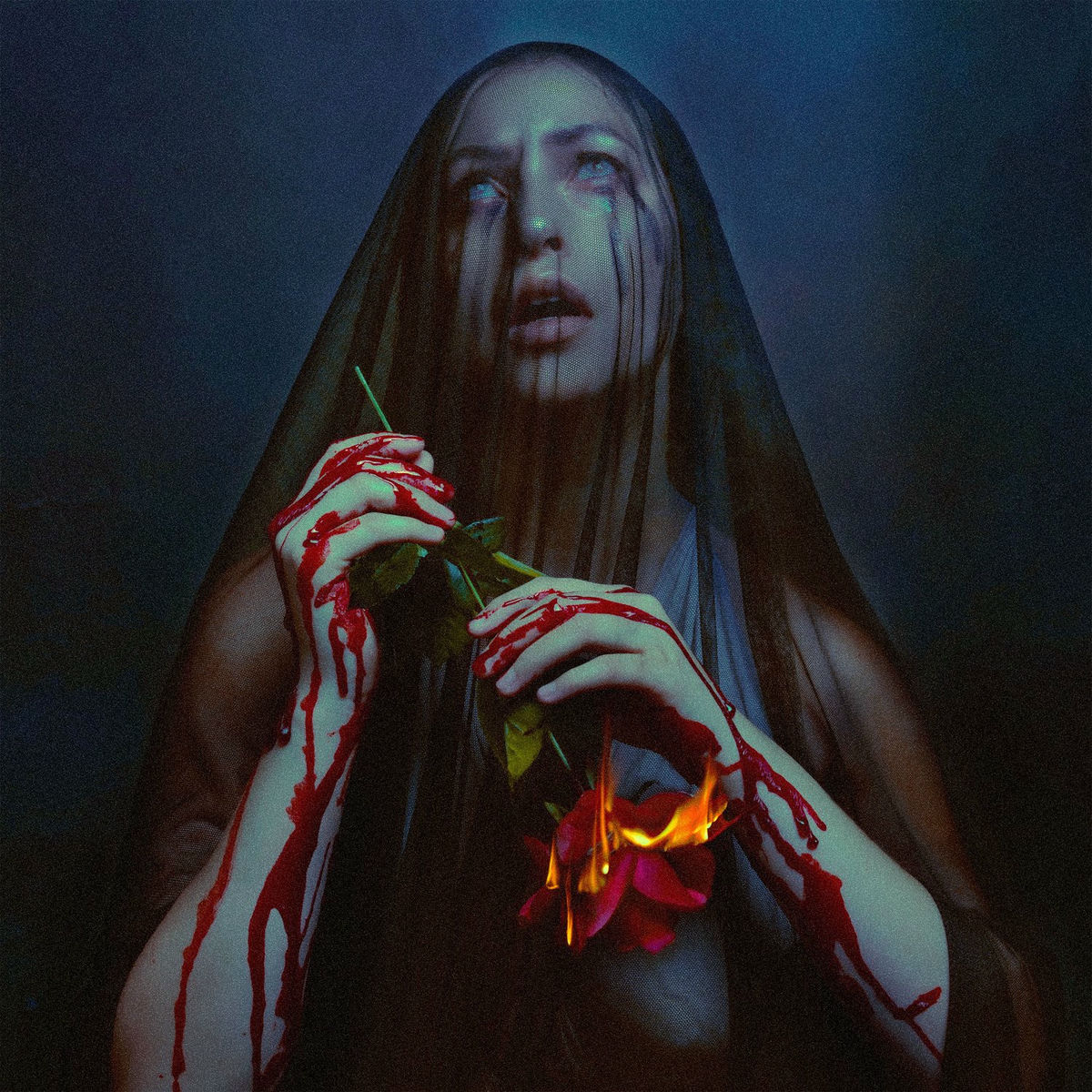 Album cover of Falling Through the Sky